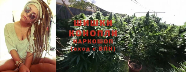 гидра Наволоки