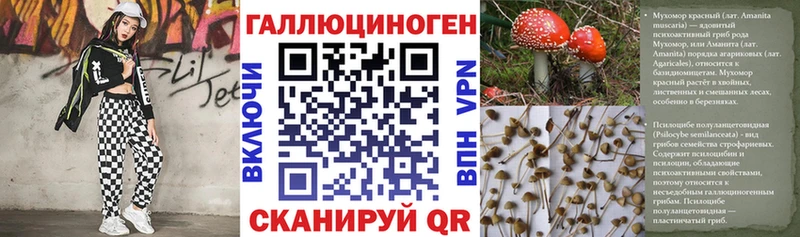 Галлюциногенные грибы мухоморы  MEGA ONION  Петушки  закладка 